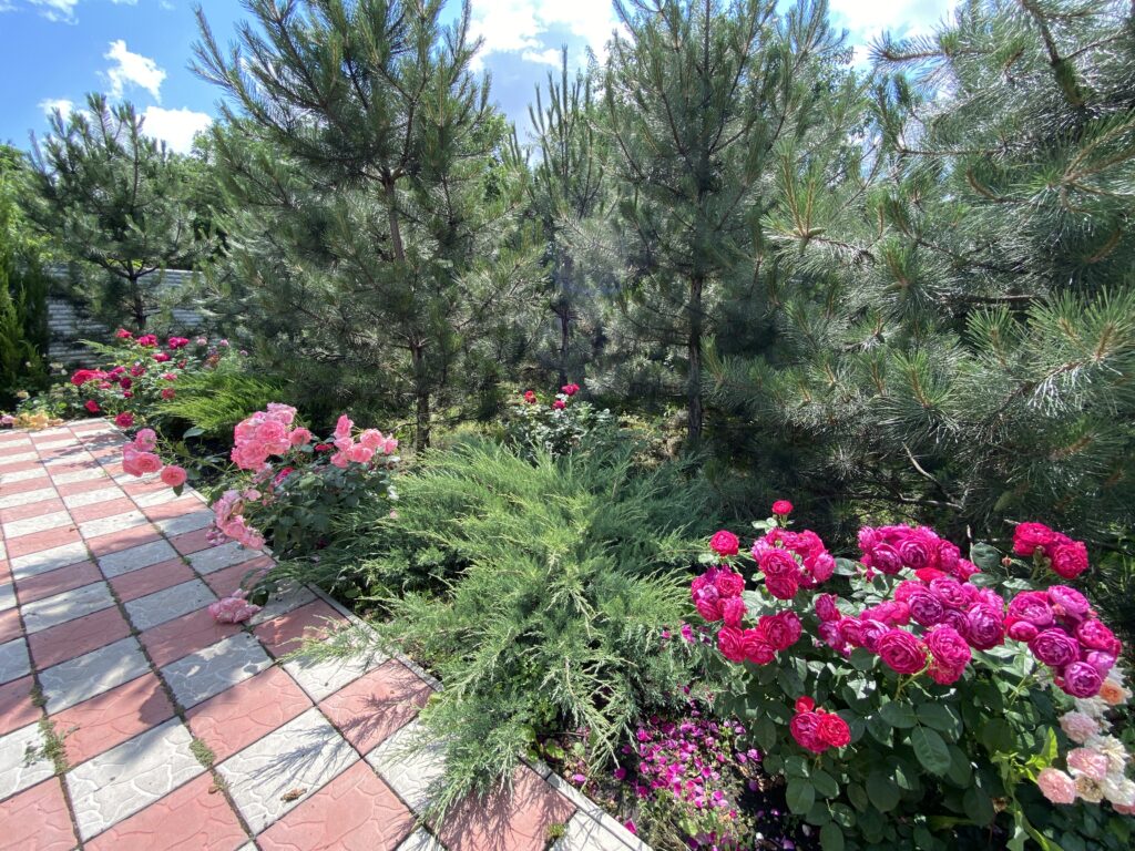 Пансіонат «Турбота та Затишок» 